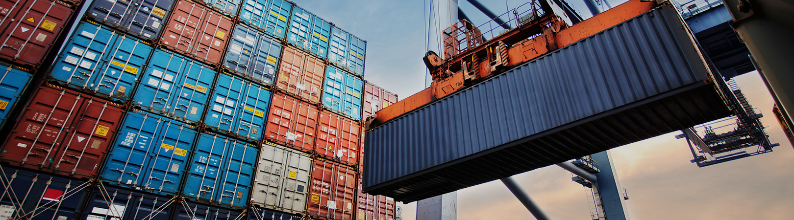 Cosmetics/Health Food/Mail Order Logistics 